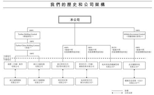 中國互聯(lián)網(wǎng)上市公司的vie結(jié)構(gòu)及九號機器人最新監(jiān)管趨勢預測