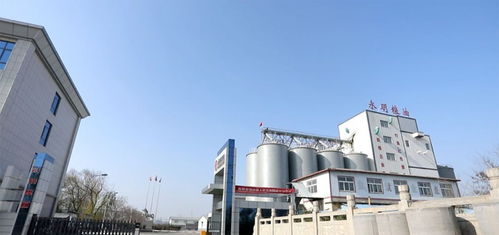 山東永明糧油擬在魯西南建設大型多功能面粉廠，助力區(qū)域農(nóng)業(yè)經(jīng)濟高質(zhì)量發(fā)展