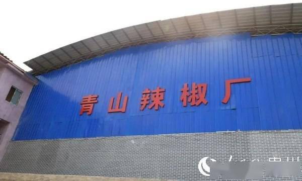 金海湖新區(qū)規(guī)劃建設辣椒加工廠，延長產(chǎn)業(yè)收益鏈
